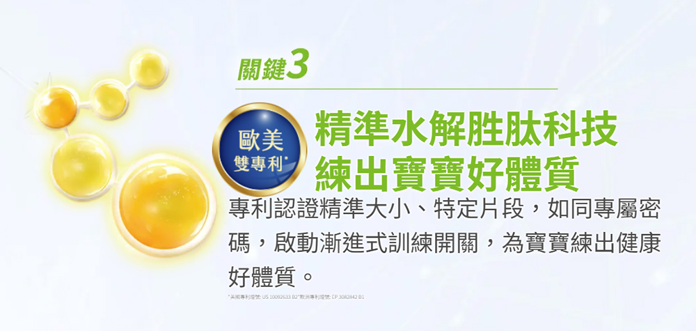 20241113095709ssl2